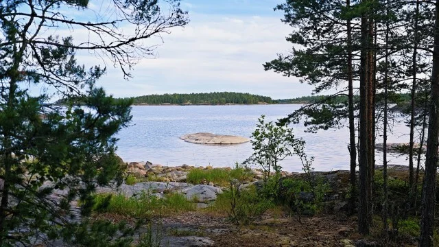 Journey through Karelia. Chapter 1: Ladoga Skerries. Part 4 - My, Skerries, Карелия, Ladoga, Lake, Alloy, Australian shepherd, Kayak, Rain, Beach, The rocks, Hike, Weather, Longpost
