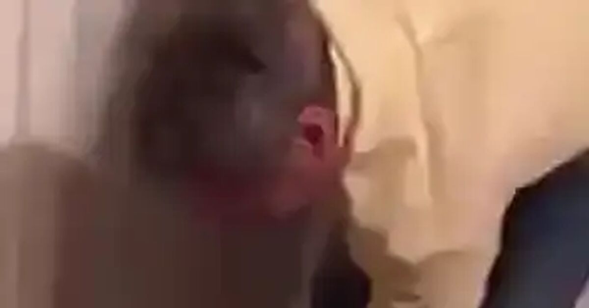 Like this - Humor, Short videos, Video, Vertical video
