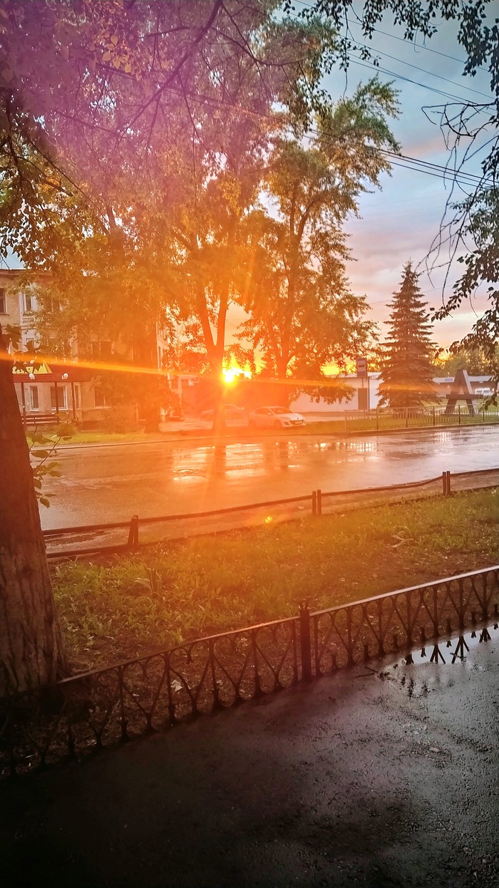 Ответ на пост «Покажите последнюю фотографию, которую вы сделали просто потому что вам было красиво»