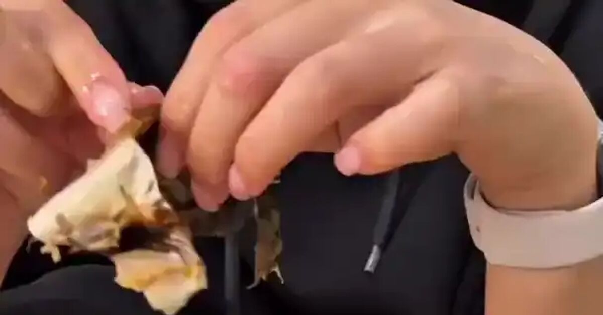 They're just making fun of me... - Short videos, Vertical video, cat, Fluffy, Funny animals, Telegram (link), Video, Soundless