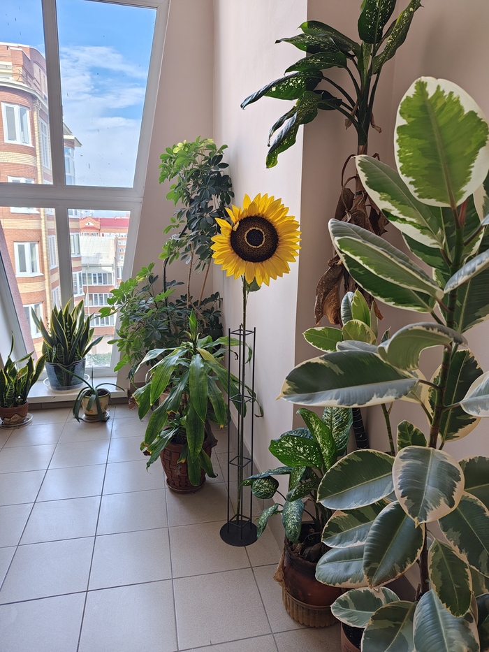 � ����� �������� ������