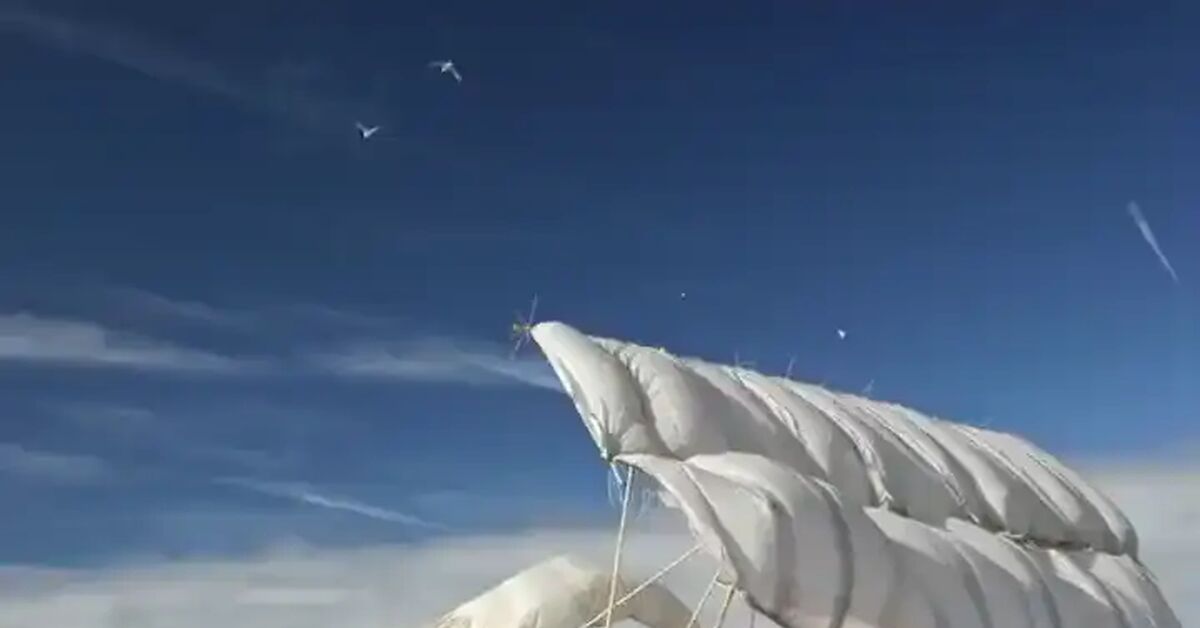 How beautiful it is!!! - Art, beauty, Sea, Theo Jansen, Short videos, Video