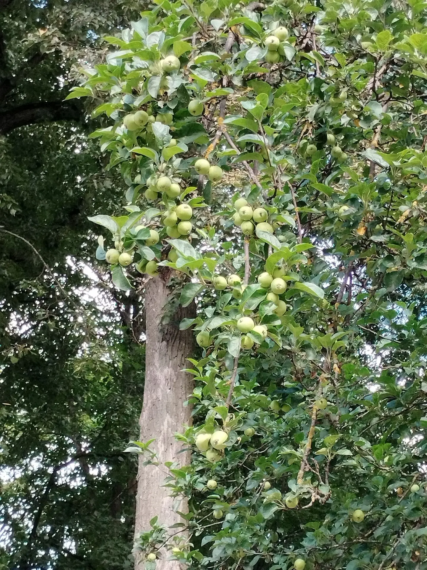 Psychological Marathon, Day 11 - Series Psychological marathon of motor activity, My, Good mood, Psychology, Fatigue, The moral support, Stress, Longpost
