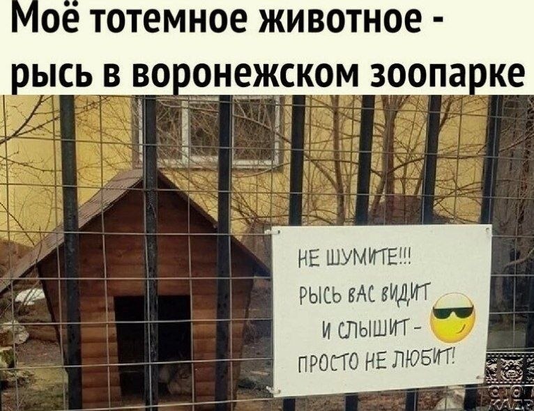iooewolc_lg.jpg