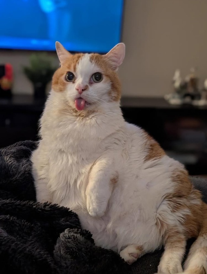 �� :P