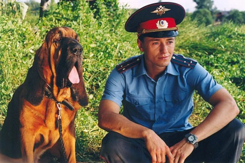 Holy crap, how long ago it was: A chronology of cult TV series from our childhood (1998–2014) - My, Serials, Russion serials, Russian cinema, Nostalgia, 90th, 2000s, Childhood, Streets of Broken Lanterns, Truckers, Brigade, Daddy's daughters tv series, Memories, Longpost