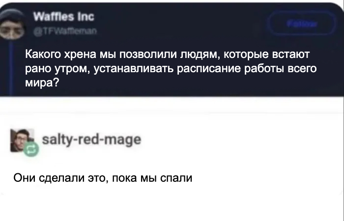 Жаворонки правят миром