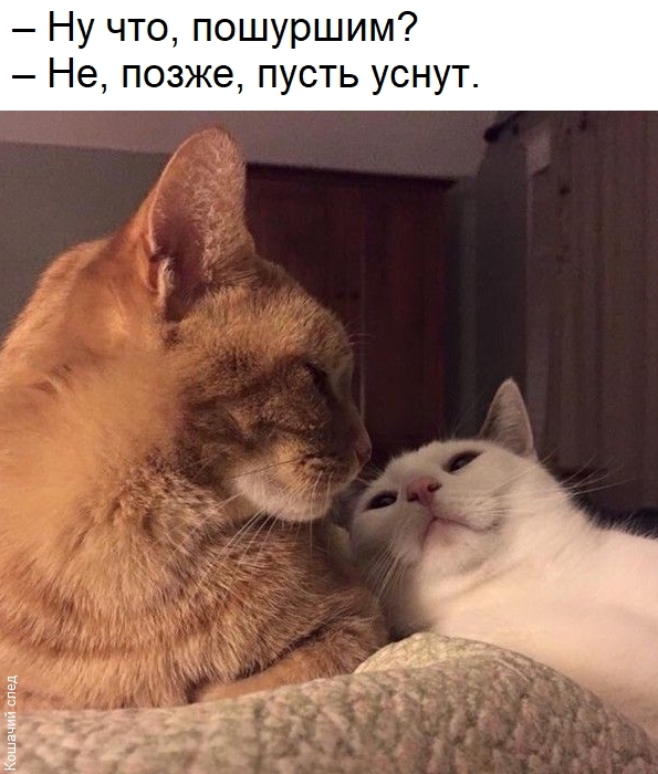 ��������?