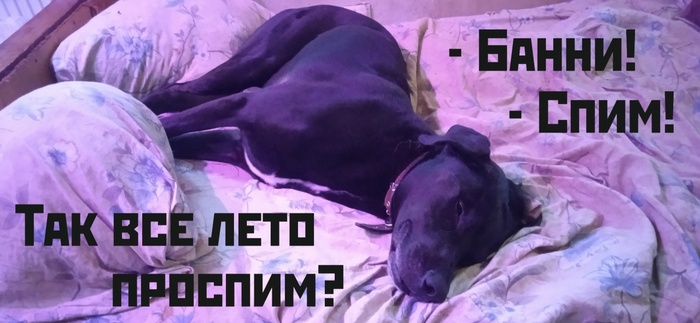 Вот и середина лета прошла!