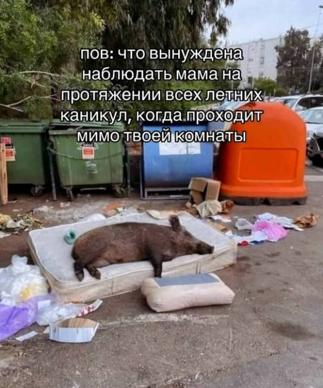 �� ��� � ����...