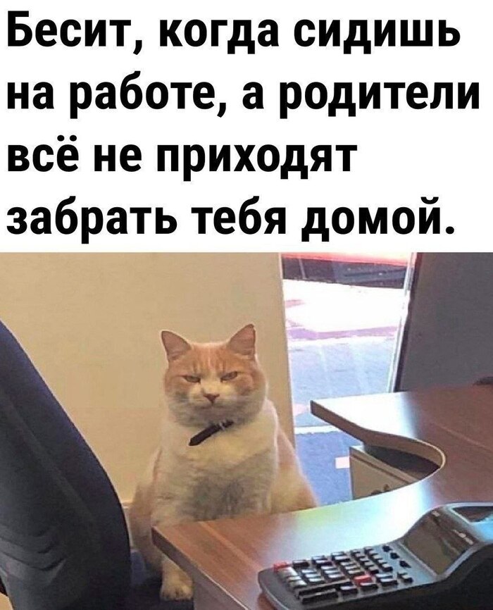 Бесит ! - 17.07.26 16:270