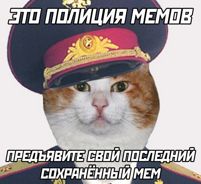 Гражданин остановочку делаем