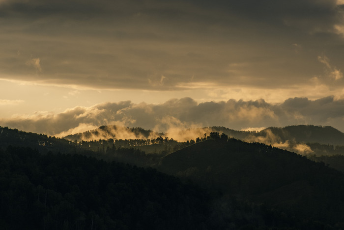 ��������, ���������� �����, ����� �� Sony A7m3 � Viltrox 85mm 1.8 II