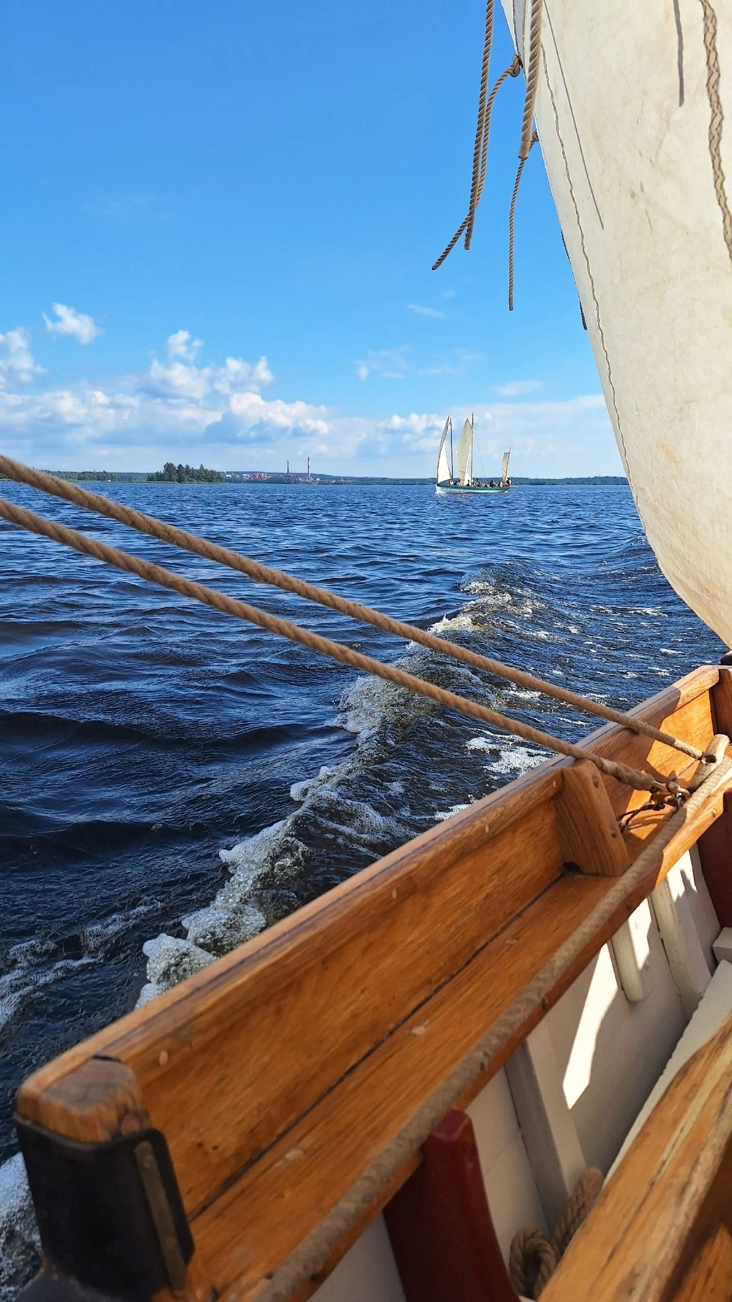 And here we spent two weeks sailing around the Vyborg Bay on gigs - My, Historical reconstruction, Baltic Sea, Sail, Whaler, Hike, Longpost