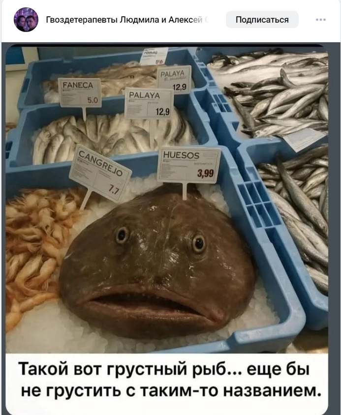 Этот жестокий мир