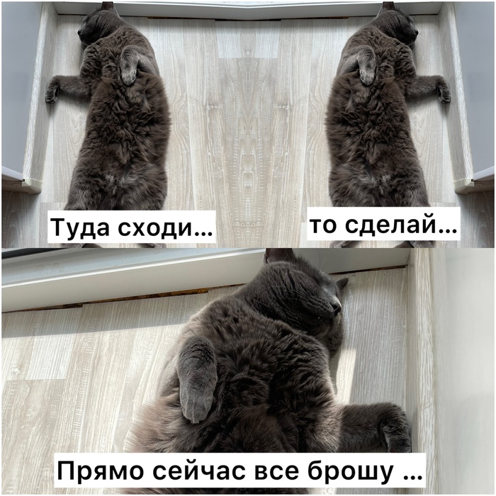 ���, �����������