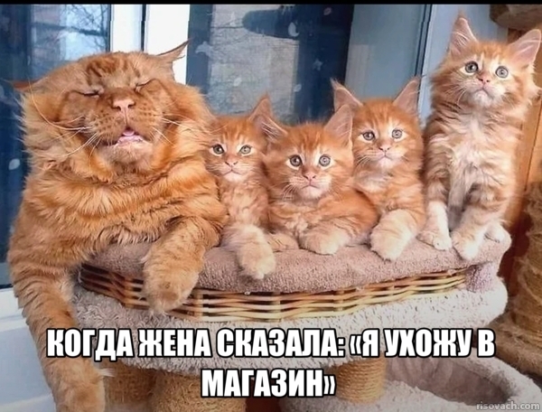 Семья