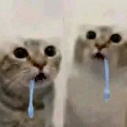 suicideday