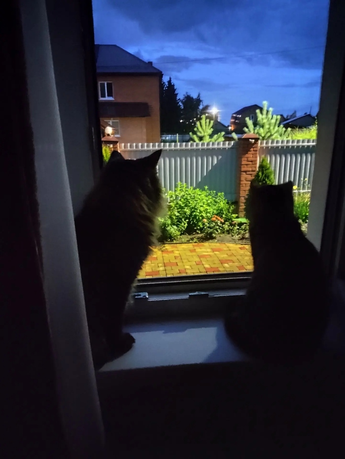 ��� � ����� ������� ������