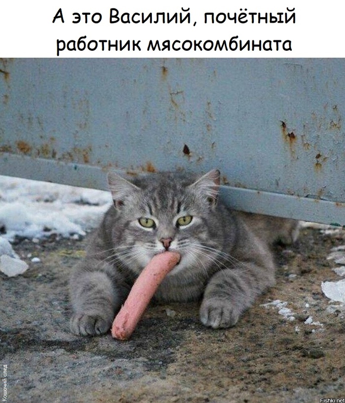 �� ������ �� �� �����