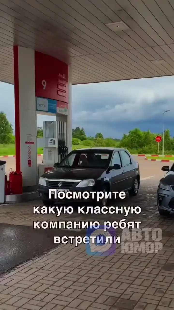Самые воспитанные пассажиры на заправке