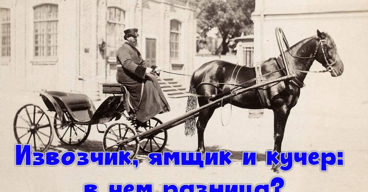 Cab driver, coachman and driver - what's the difference? - История России, Life stories, Travels, Transport, Horses, Around the world, Coachman, Want to know everything, Cab, Coachman, Informative, Video, Rutube