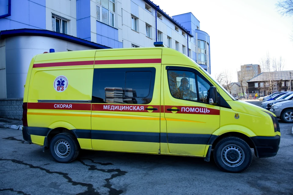 I turned my back and heard, 'Get him!': A patient set a dog on an ambulance doctor. - My, Negative, Criminal case, Dog attack, Doctors, Novosibirsk