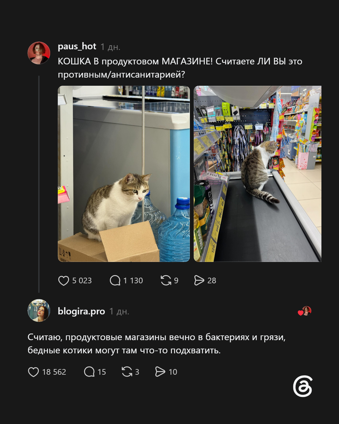 Соблюдайте санитарные нормы, позаботьтесь о животных