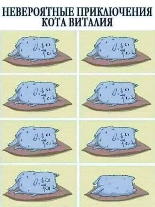 Memes July 31, 2026 A.D. - Picture with text, Memes, Images, Humor, A selection, Longpost, Video, Vertical video, Short videos