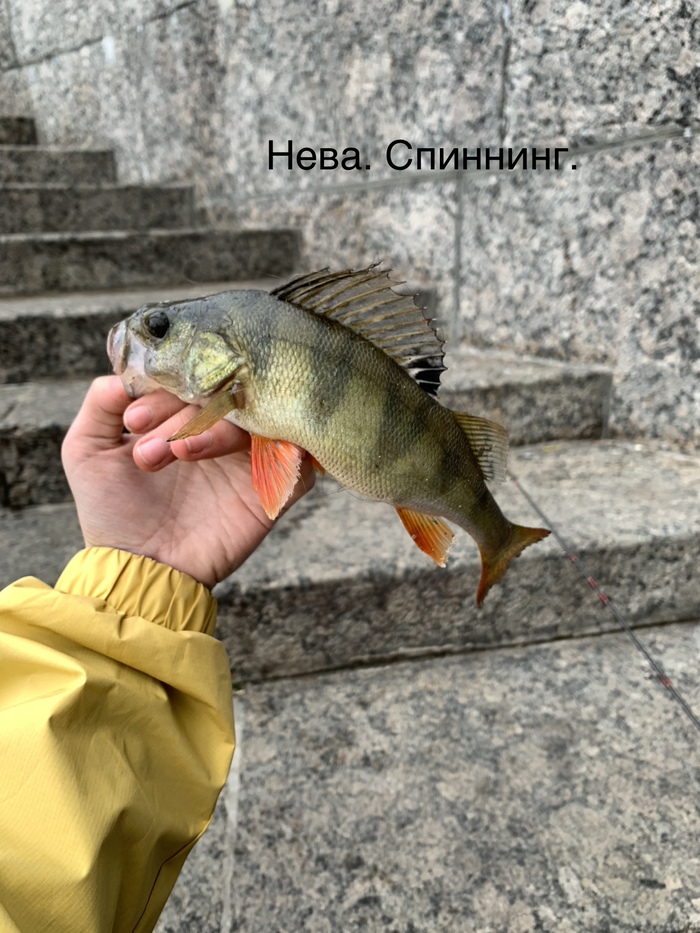 ��� ���� �������� 27 �� ������ ����� �� ���� ����� �������� �� ���������� ������ 👍