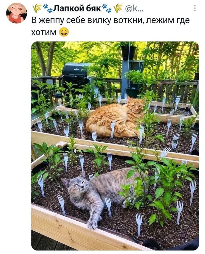 ���� ������� ��� ������ � ����