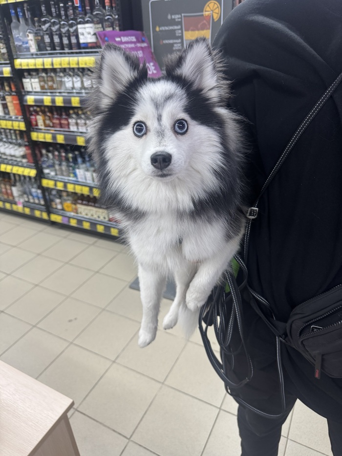 �����