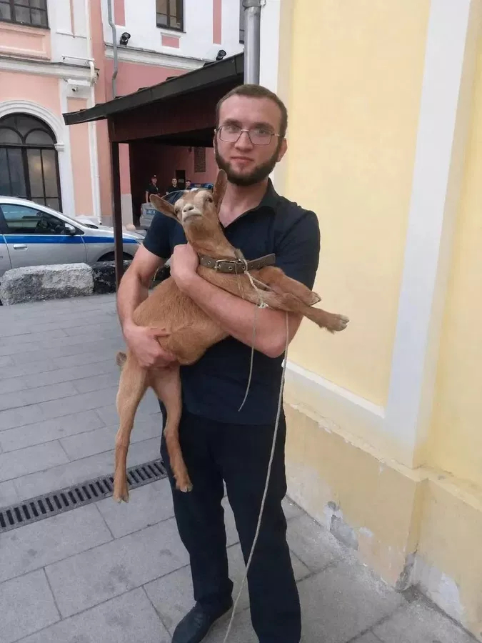 Совет да любовь
