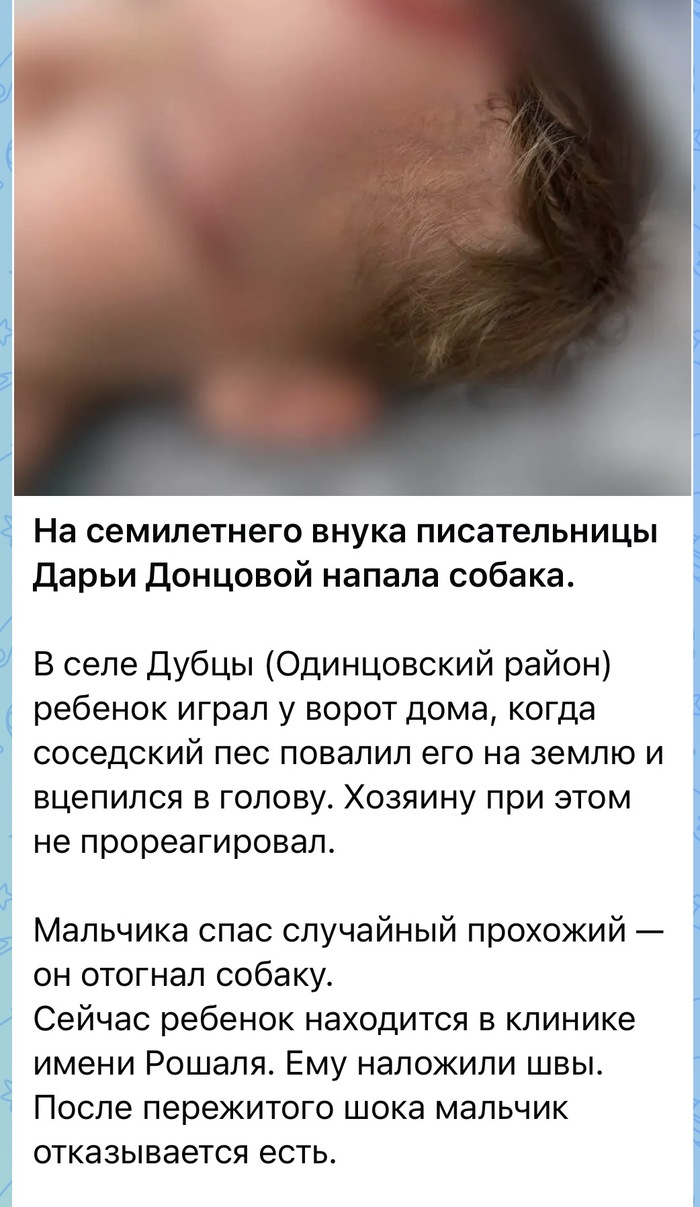 Собака напала на внука Донцовой