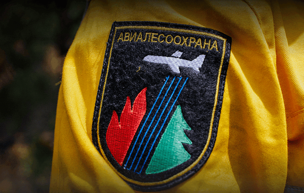 Кто работает в лесу - Моё, Лесное хозяйство, Лес, Длиннопост