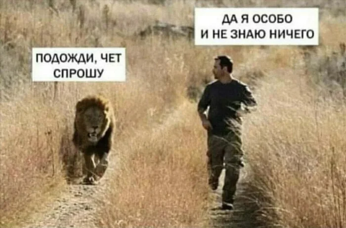 Где-то в Африке