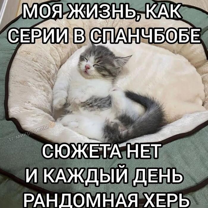 ��������, �����