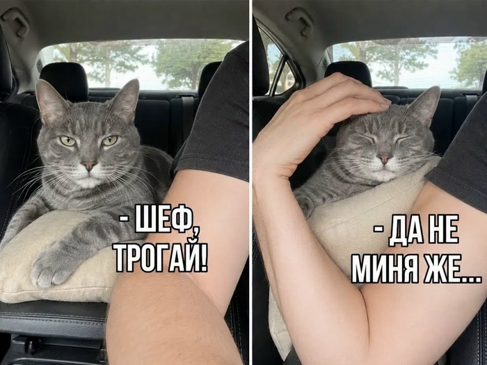 Трогательновое)