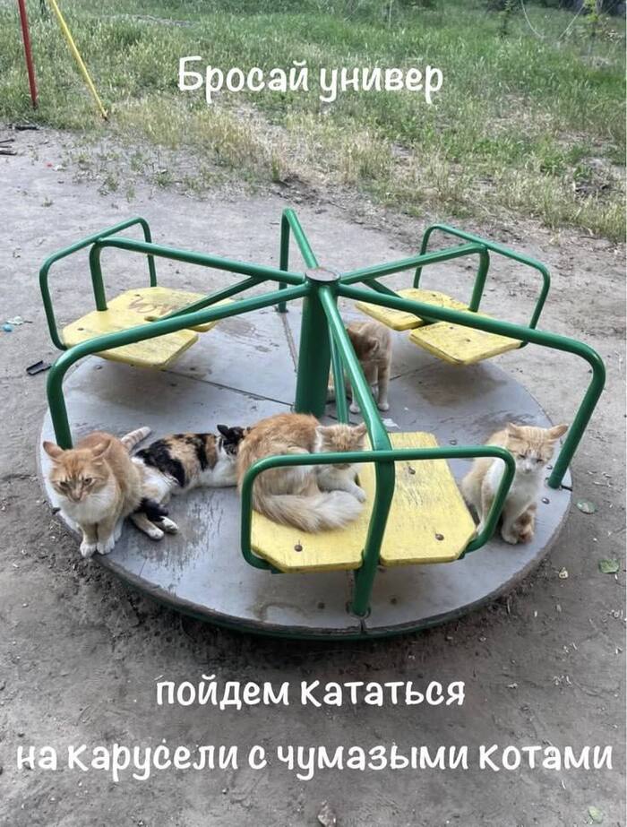 Работу тоже бросай)