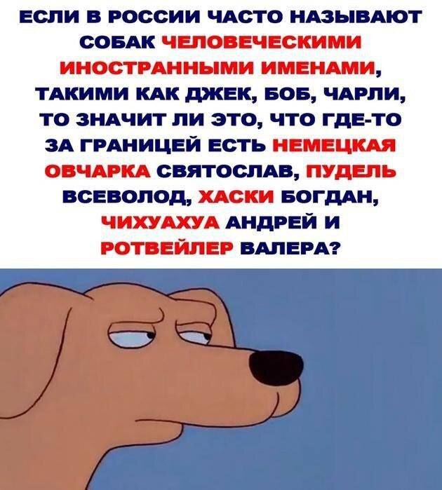 ������ �����