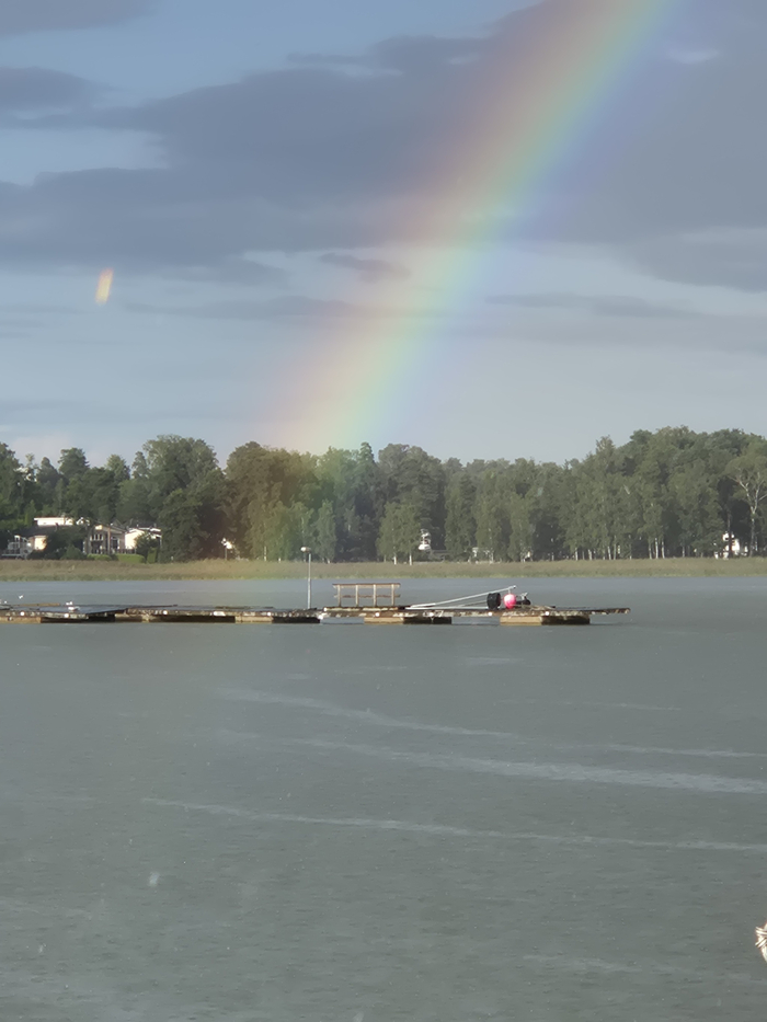Rainbow