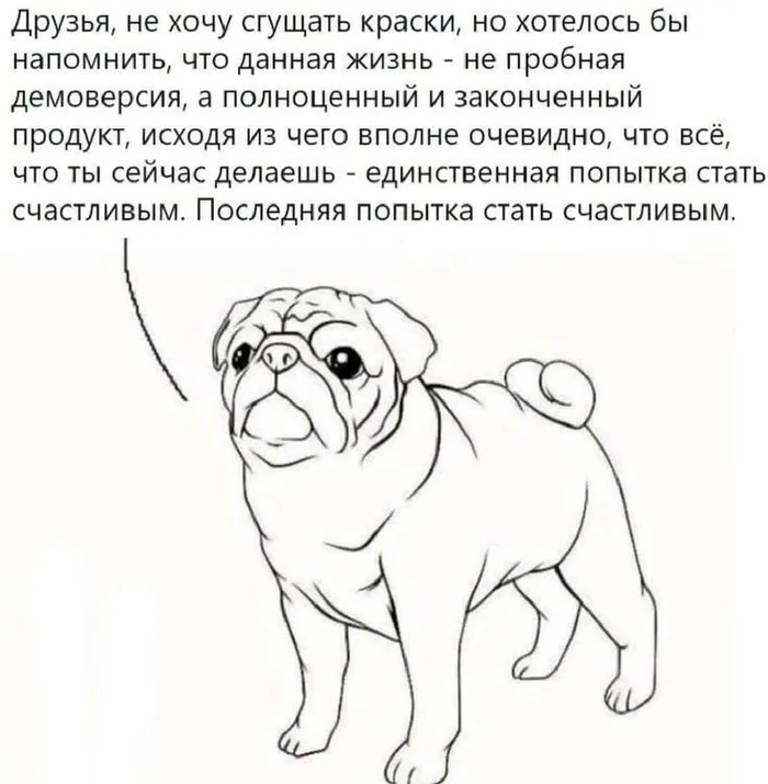 Ответ на пост «Помните, это было вчера "Познакомлюсь с парнем. Наро-Фоминск"?»