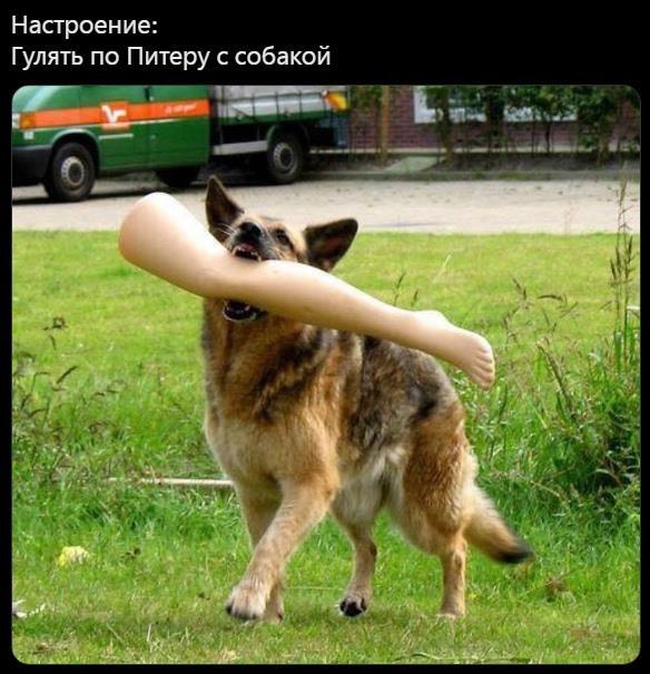 ��� ����...