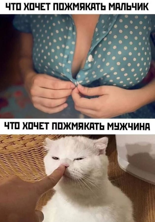 ������� vs �������