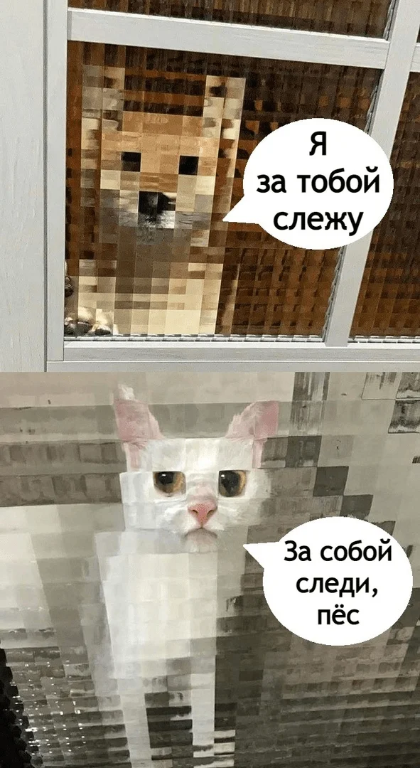 LetsMakeItFun - Series LetsMakeItFun, Memes, Humor, Longpost