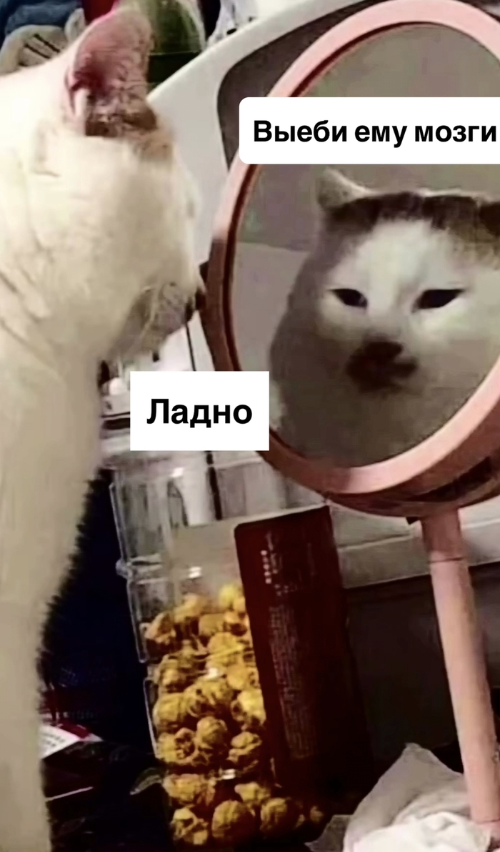 ПМС в картинке