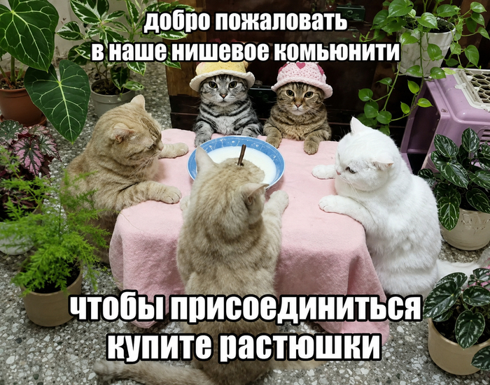 ���� ��������� ���������e� ��������