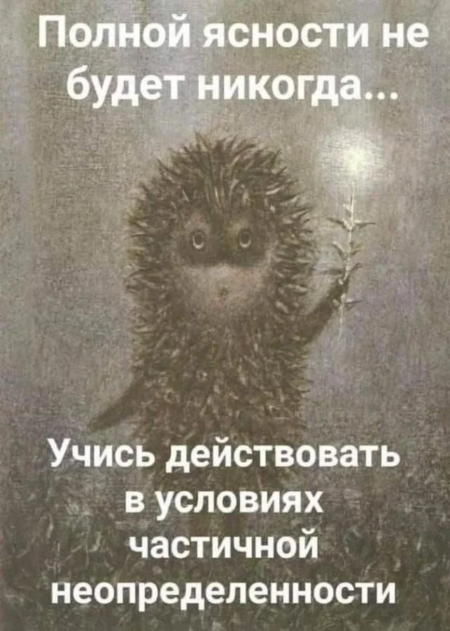 Еш саветуит - Ёжик, Туман, Ежик в тумане, Длиннопост