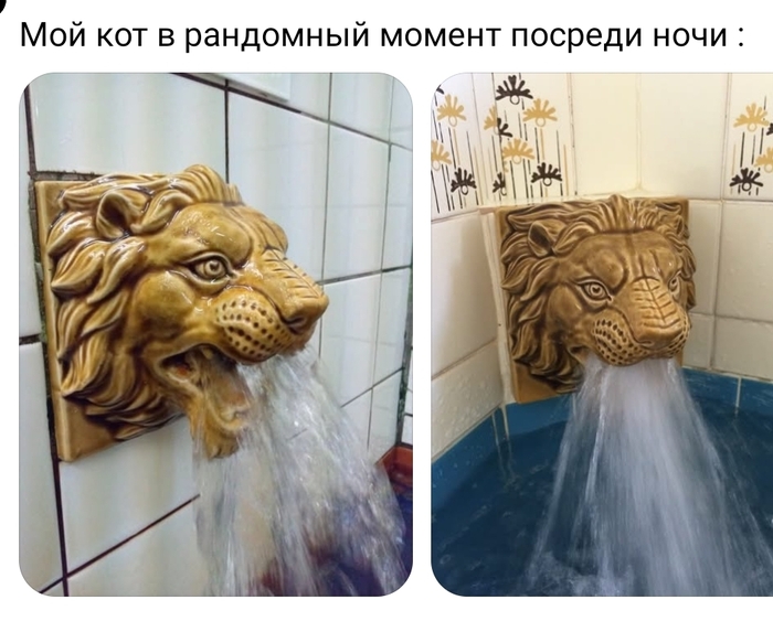 �� �����