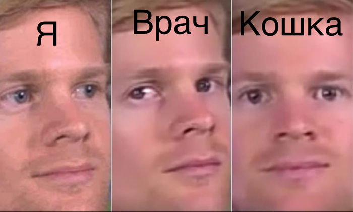 Ответ на пост «Ветка для тревожных хозяев»